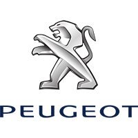 Peugeot Druppellader Motor